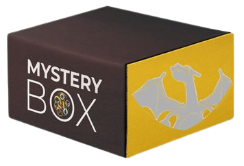 Glurak-Premium-Kollektion-Mystery-Box
